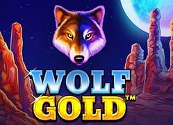 Wolf G Casino Game  Slotozen Casino Online Canada