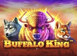Buffalo King Casino Slot  Slotozen Casino Online Canada