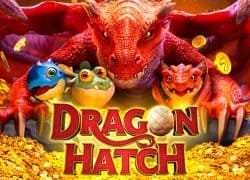 Dragon Hatch Casino Game  Slotozen Casino Online Canada