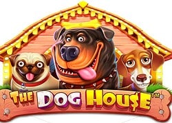 Dog House Casino Game  Slotozen Casino Online Canada